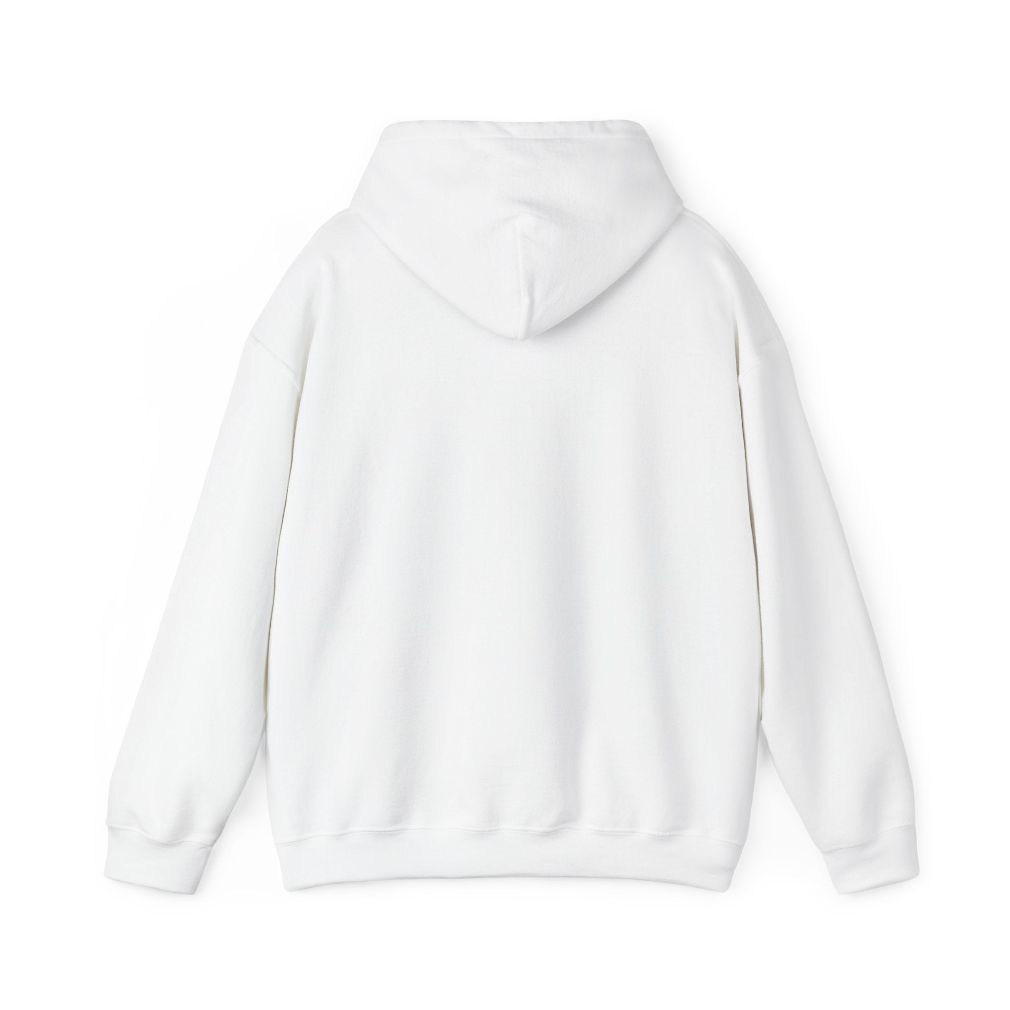 Its a Regular Life Hoodie