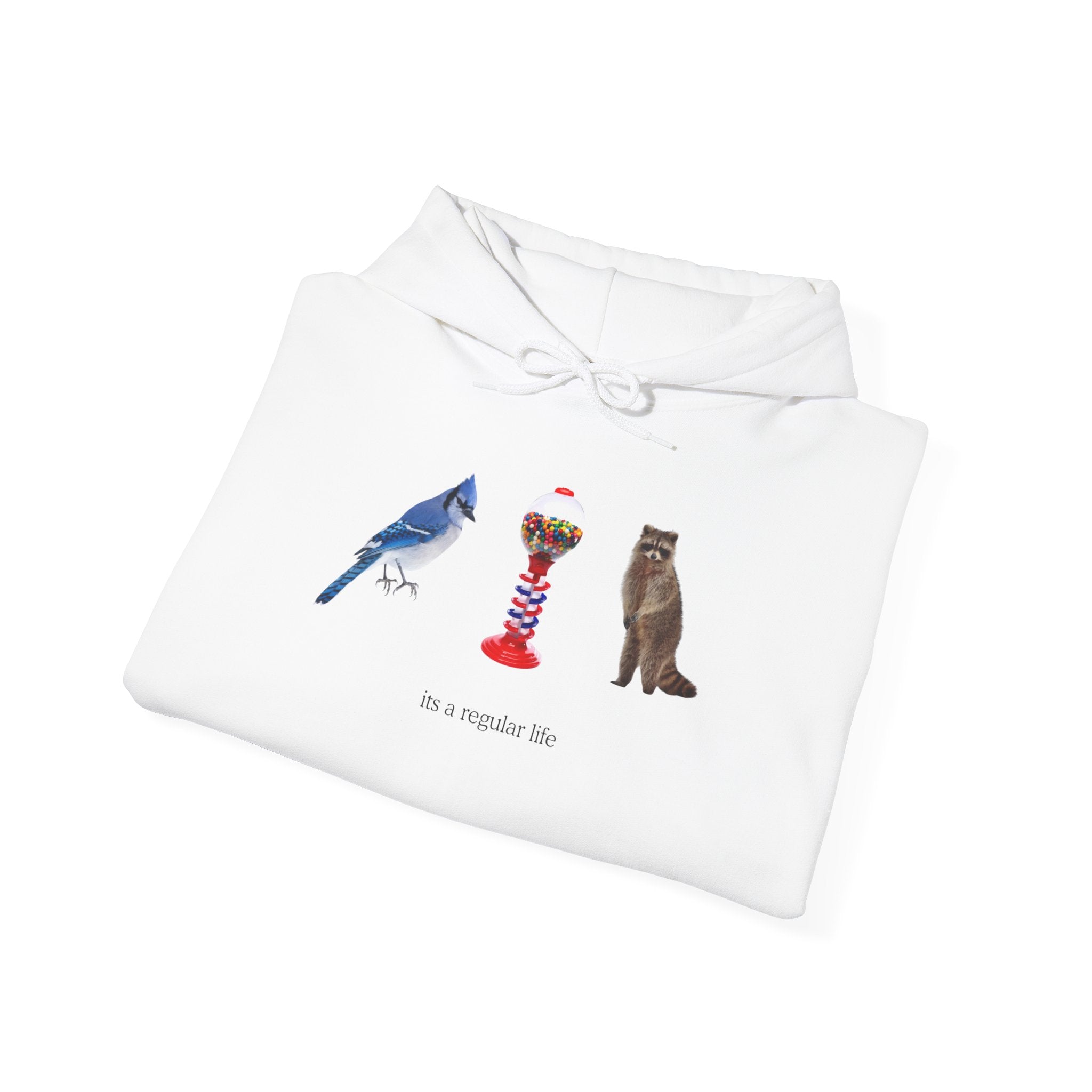 Its a Regular Life Hoodie