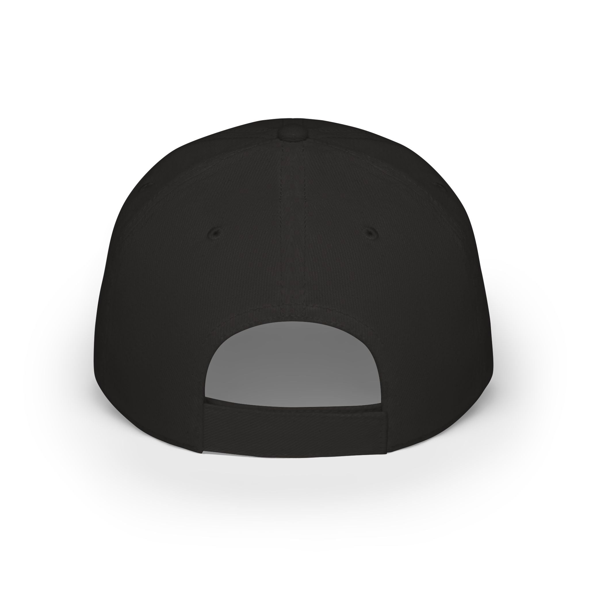 Its a Regular Life Hat