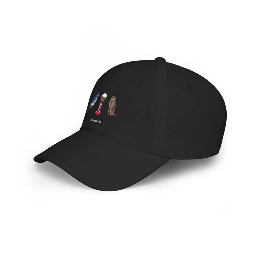 Its a Regular Life Hat