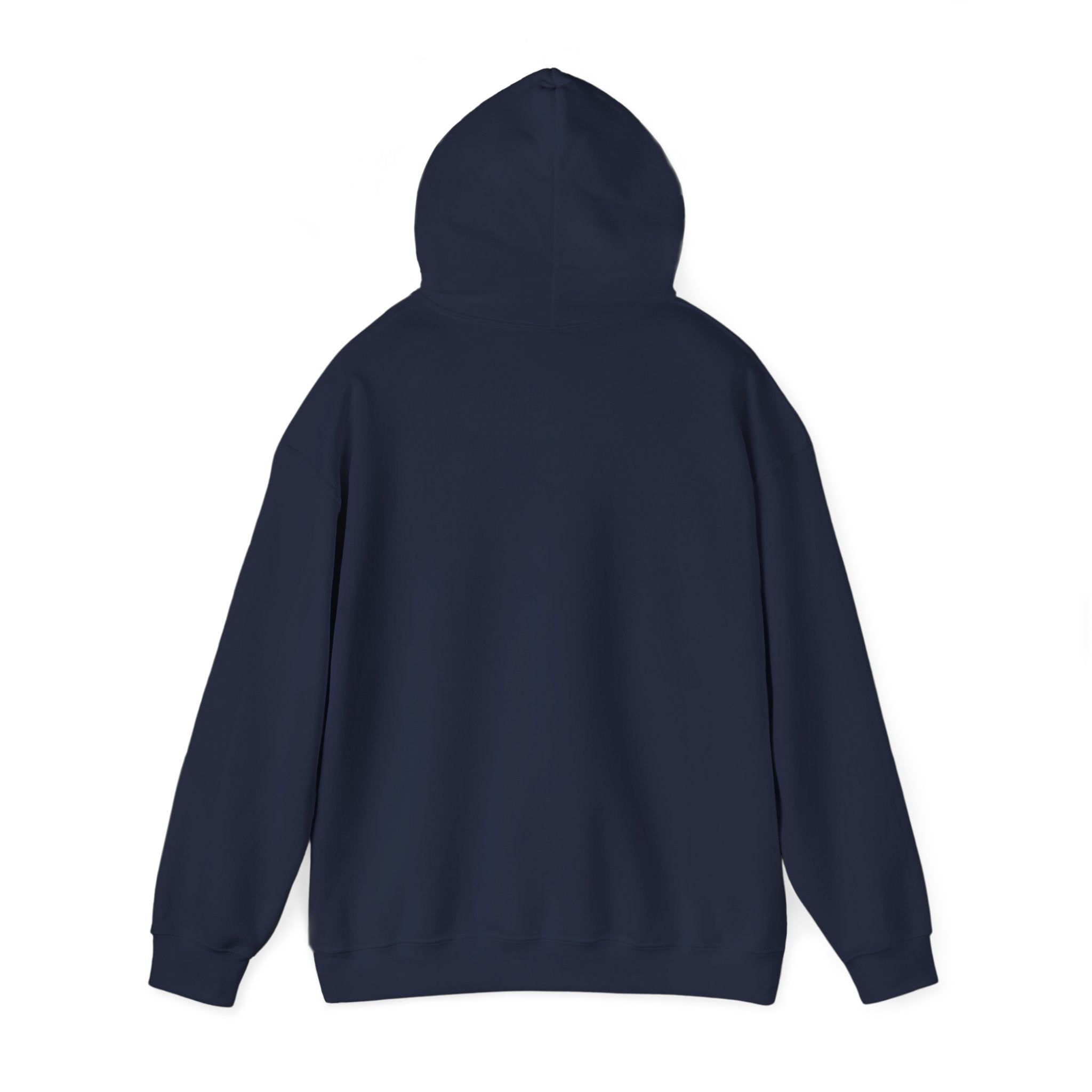 Its a Regular Life Hoodie