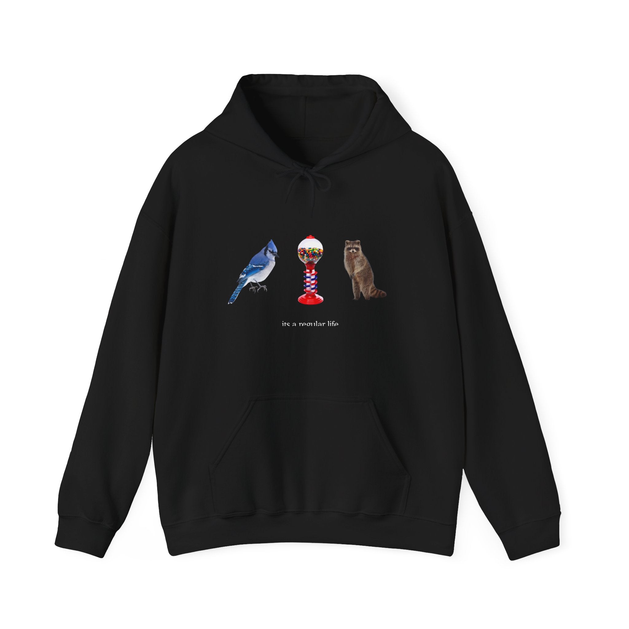 Its a Regular Life Hoodie