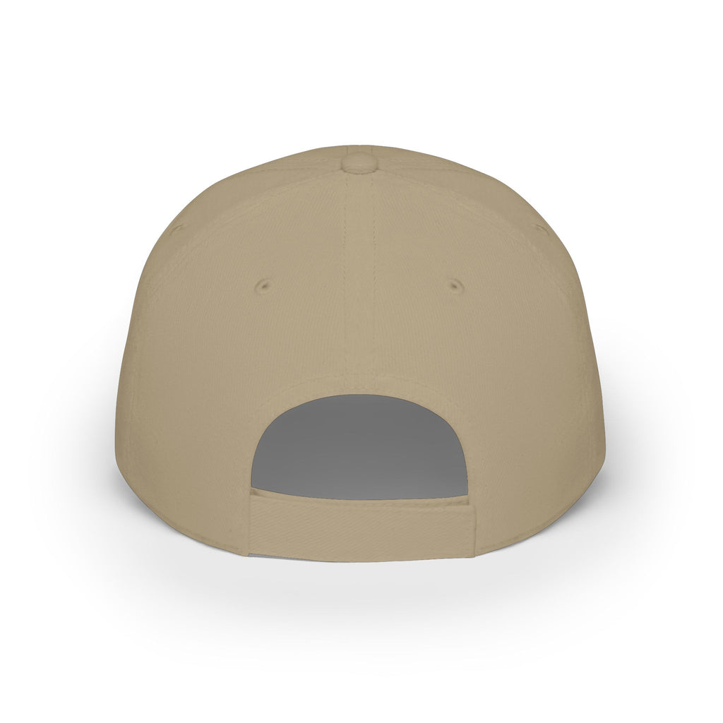 Its a Regular Life Hat