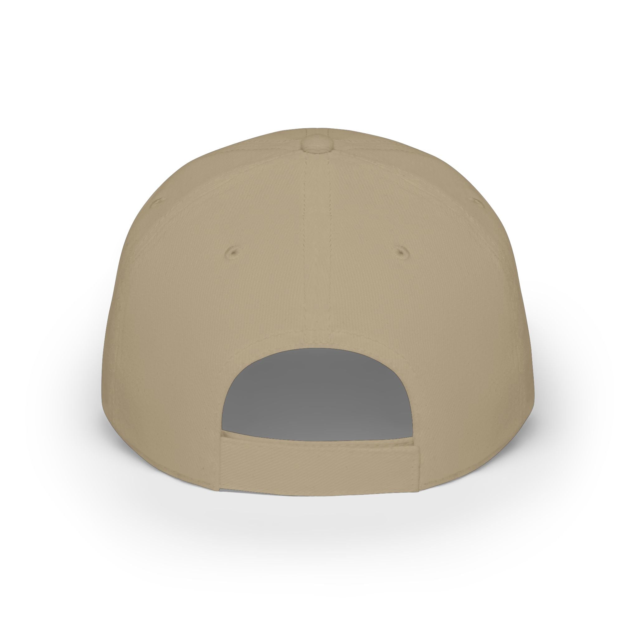 Its a Regular Life Hat