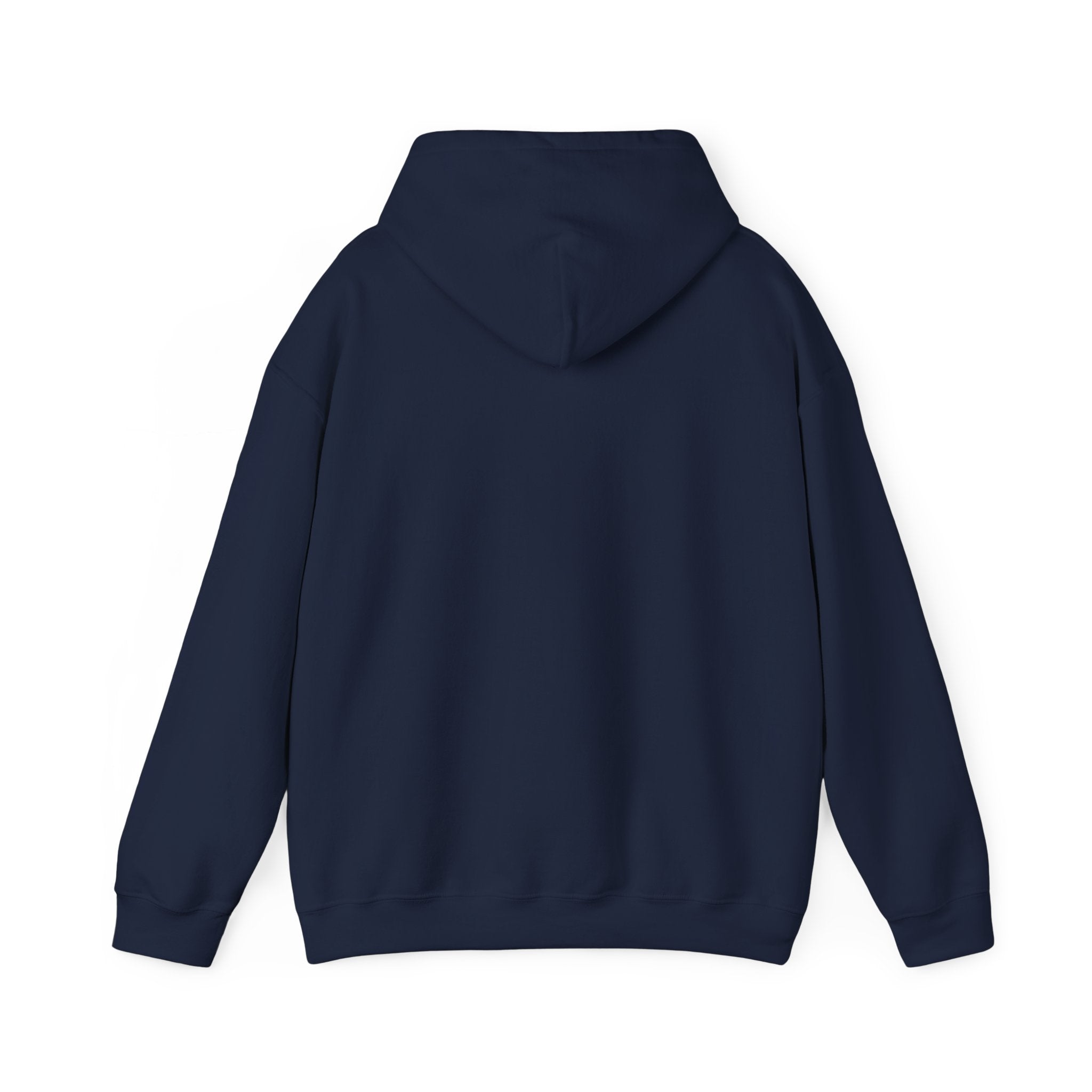 Its a Regular Life Hoodie