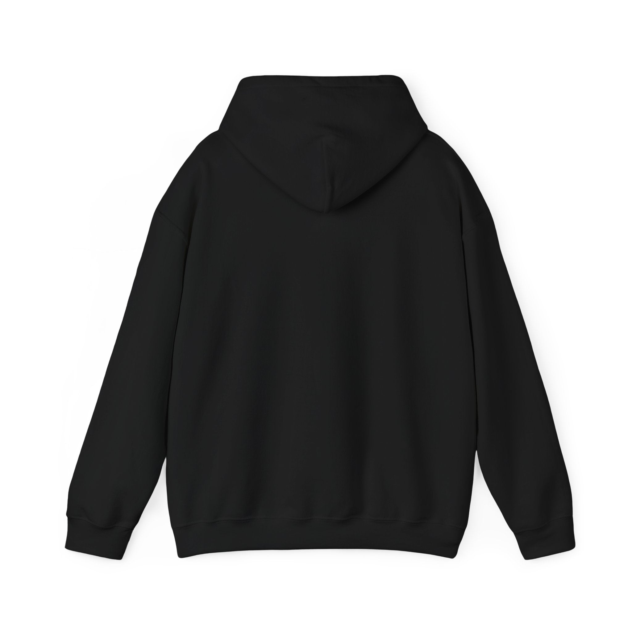 Its a Regular Life Hoodie
