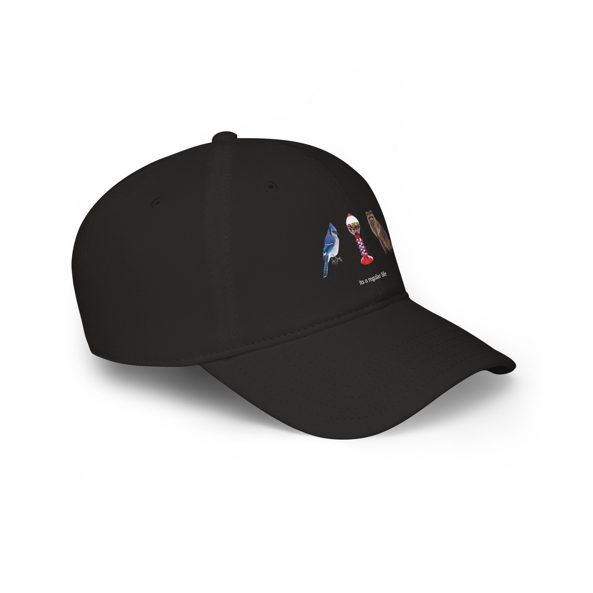 Its a Regular Life Hat