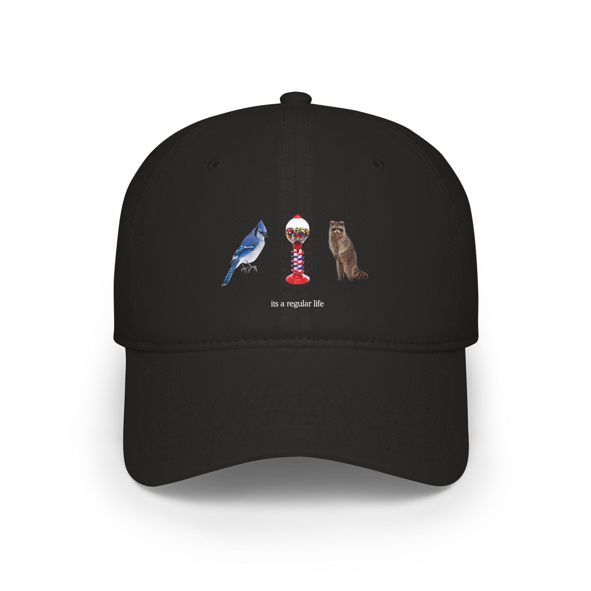 Its a Regular Life Hat
