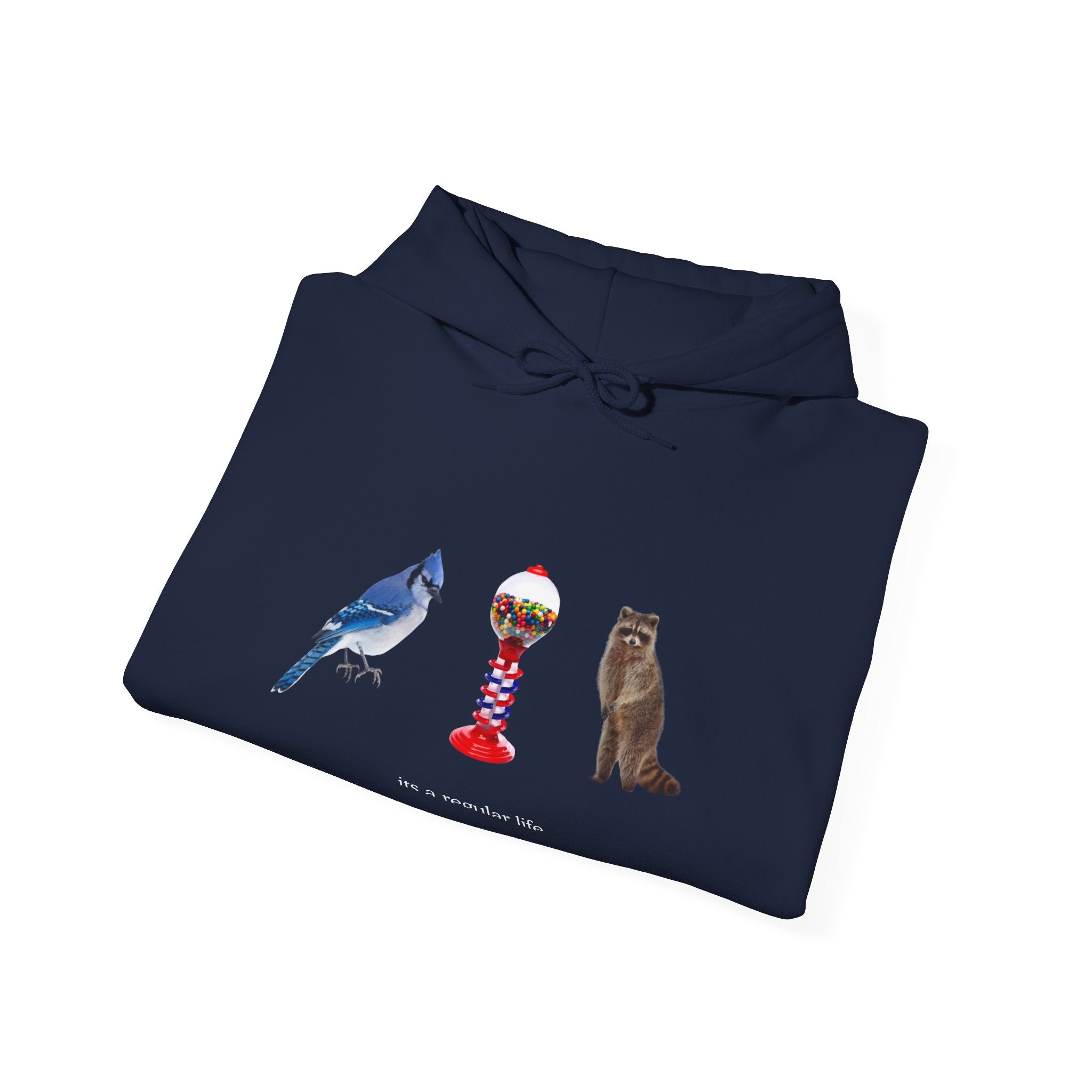 Its a Regular Life Hoodie