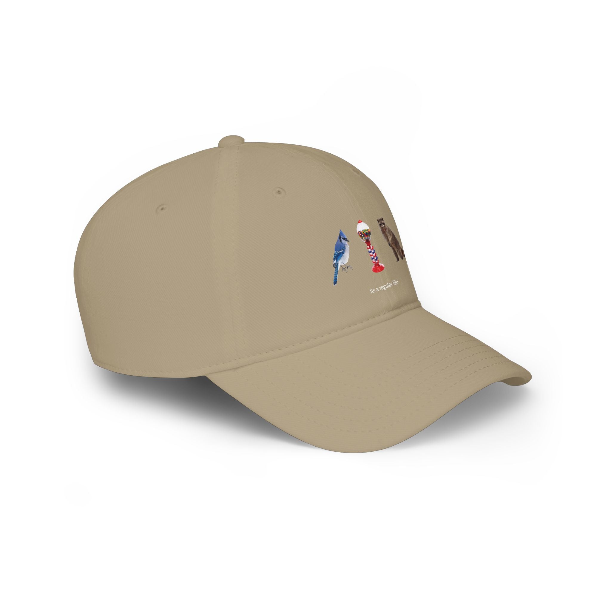 Its a Regular Life Hat