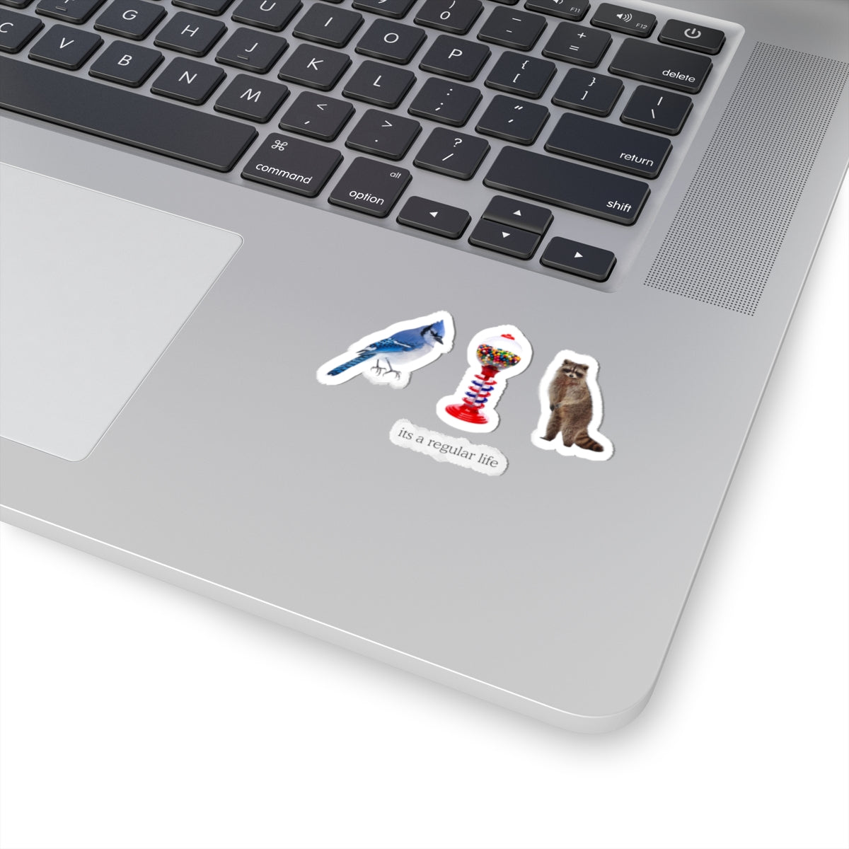 Its a Regular Life Stickers