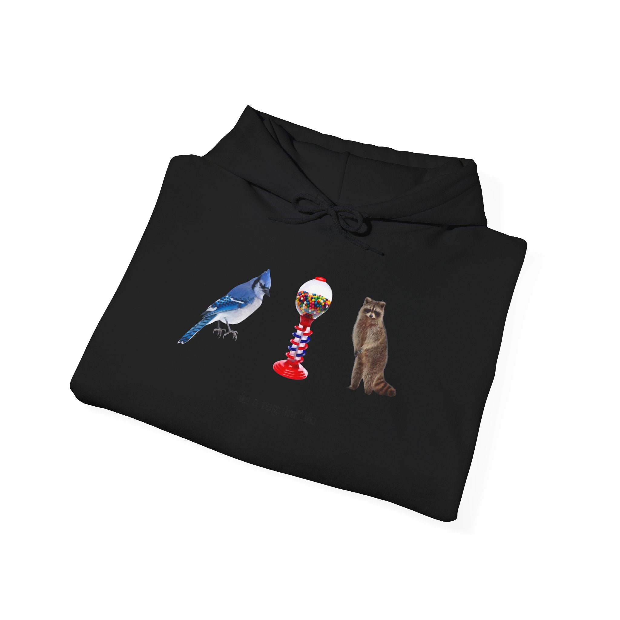 Its a Regular Life Hoodie