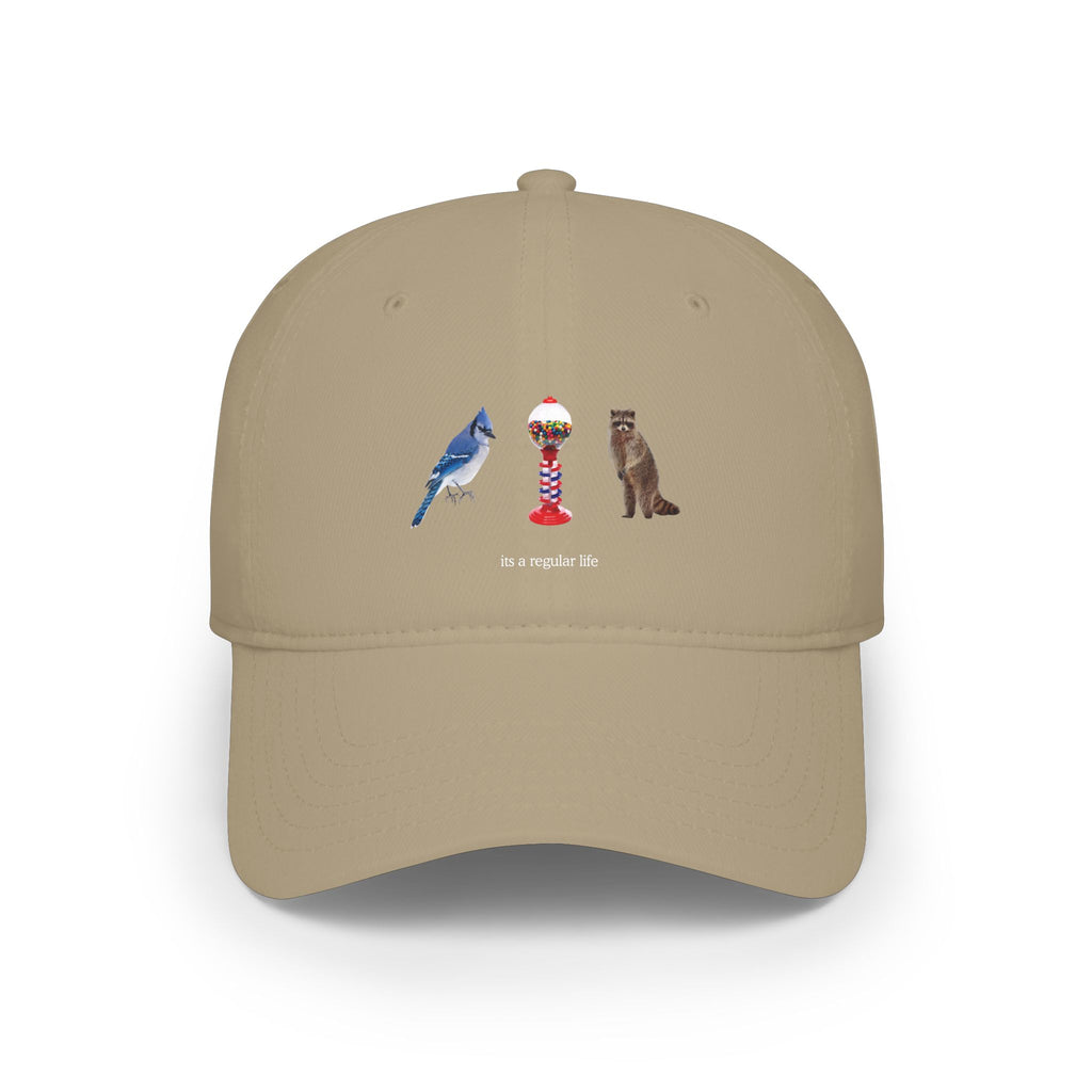 Its a Regular Life Hat
